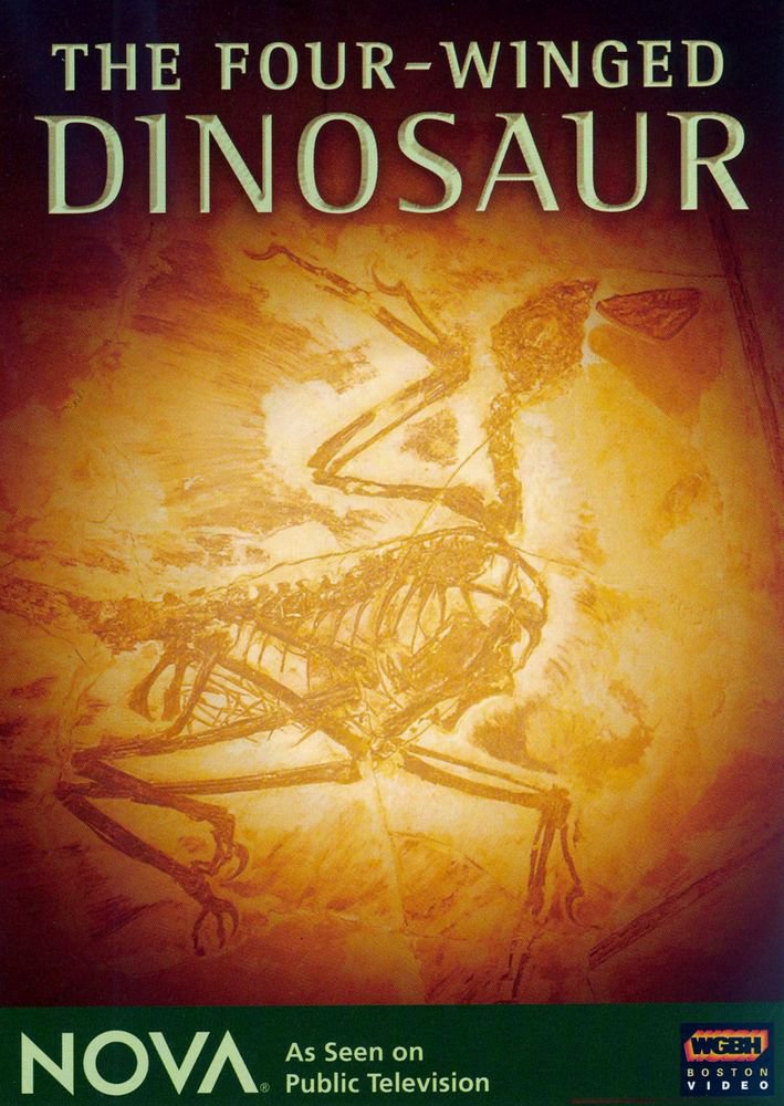 NOVA: The Four-Winged Dinosaur [DVD] [2008]