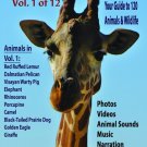 Visit the Zoo: Vol. 1 [DVD] [2017]
