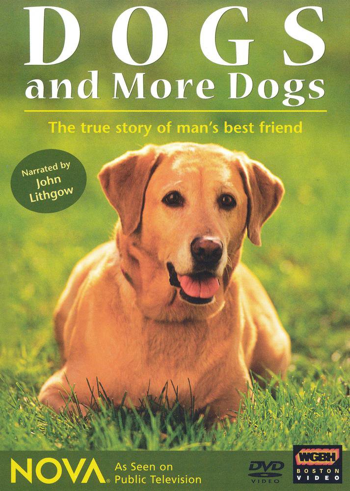 NOVA: Dogs and More Dogs [DVD]