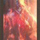 Andrea Centazzo: The Music of Gods [DVD]