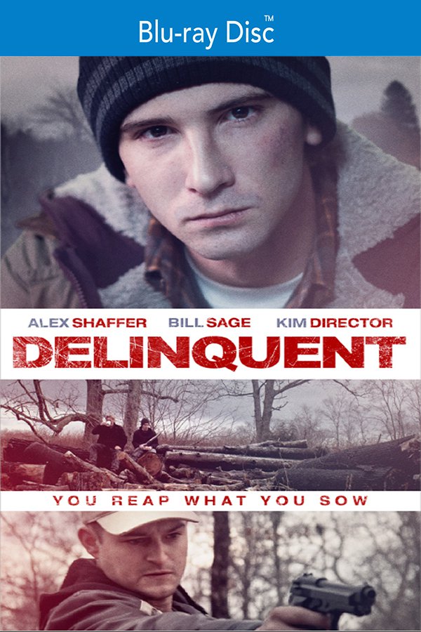 Delinquent [Blu-ray] [2016]