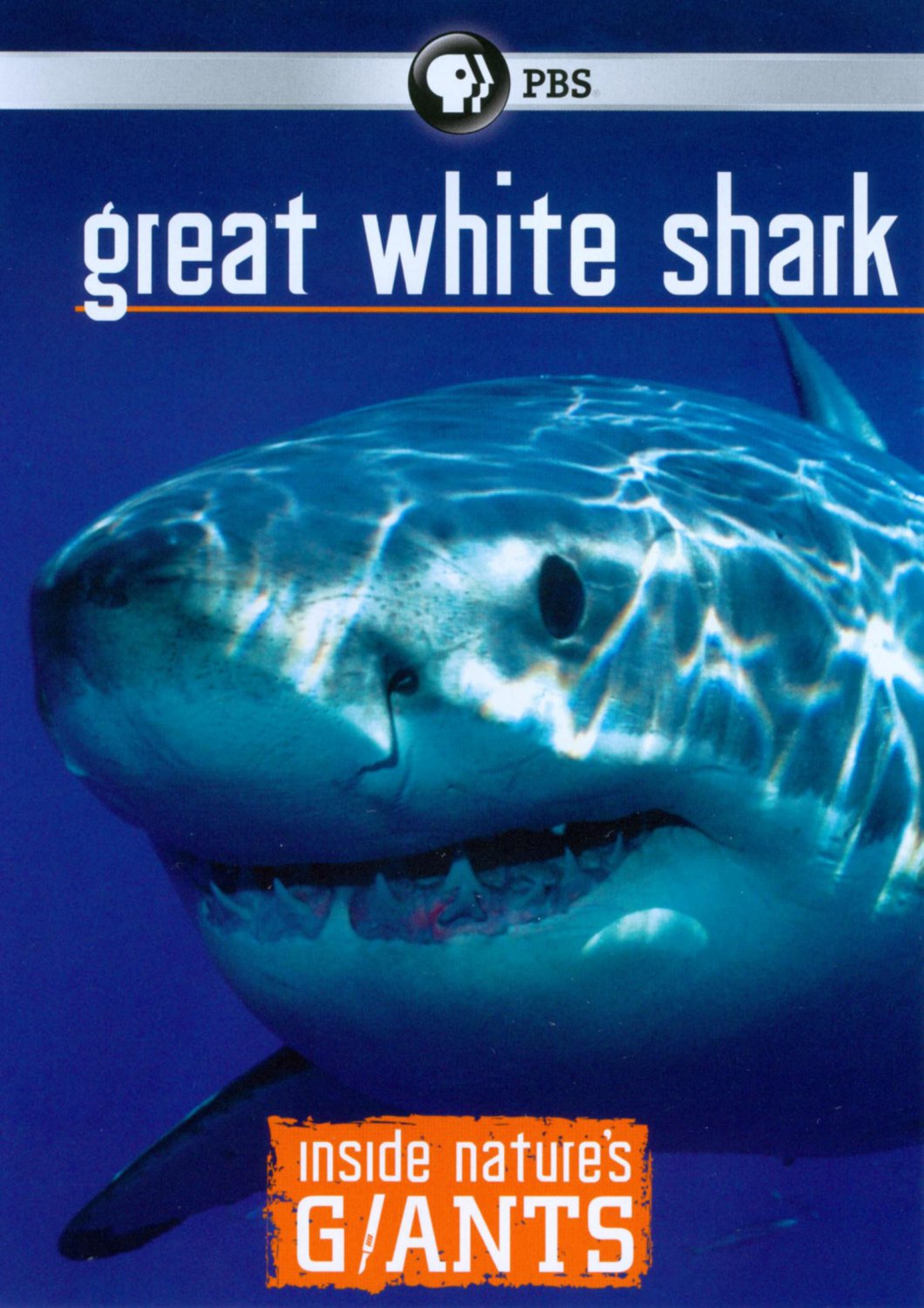 Inside Nature's Giants: Great White Shark [DVD] [2010]