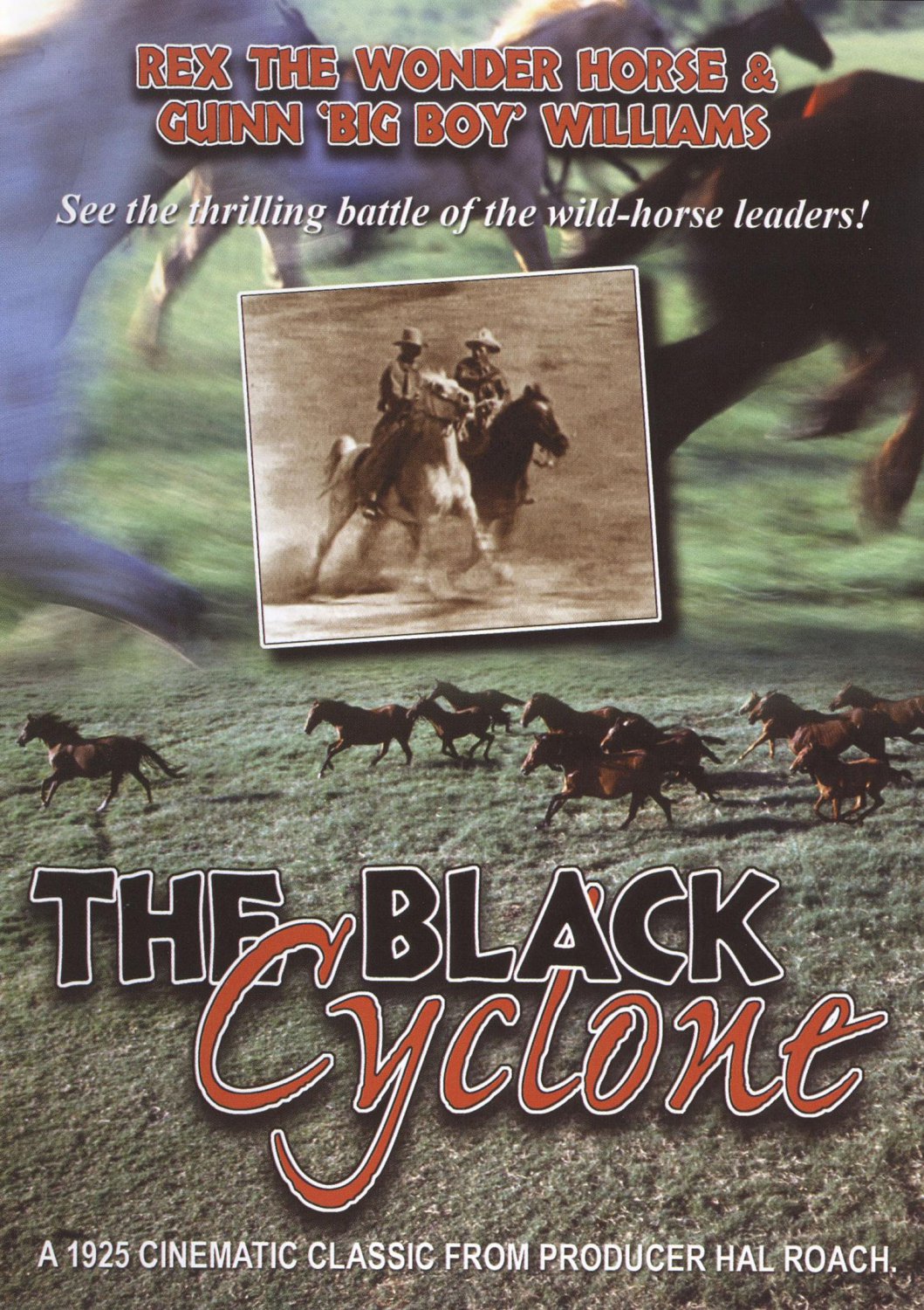 The Black Cyclone [DVD] [1925]