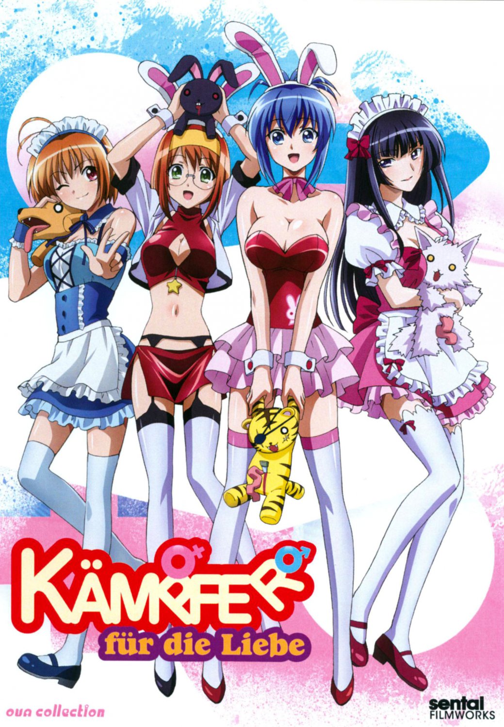 Kampfer fur die Liebe [DVD]