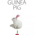 Bye Bye Guinea Pig [DVD] [2016]