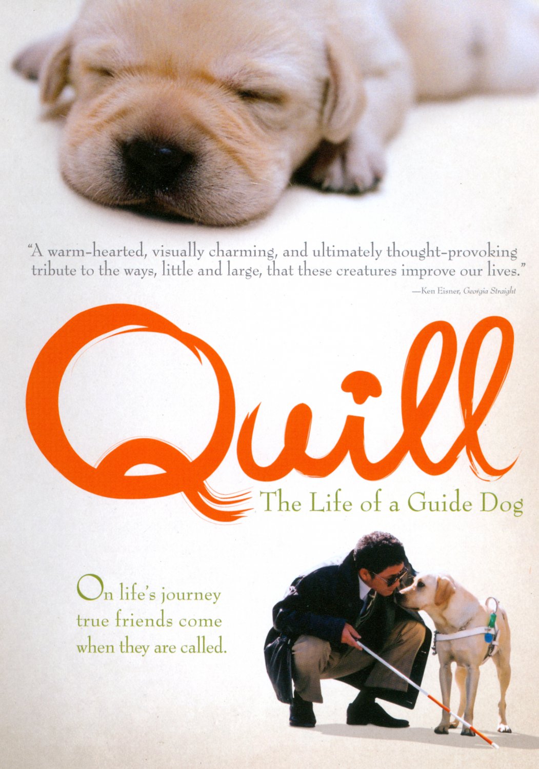 Quill [DVD] [2004]