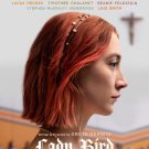 Lady Bird [Blu-ray/DVD] [2017]