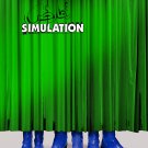Simulation [DVD] [2017]