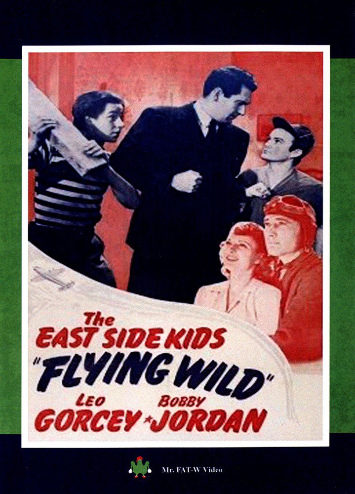 Flying Wild [DVD] [1941]