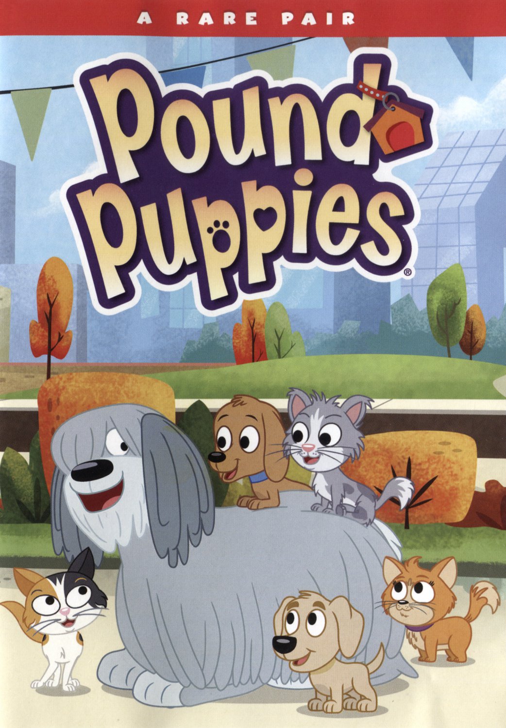 Pound Puppies: A Rare Pair [DVD]