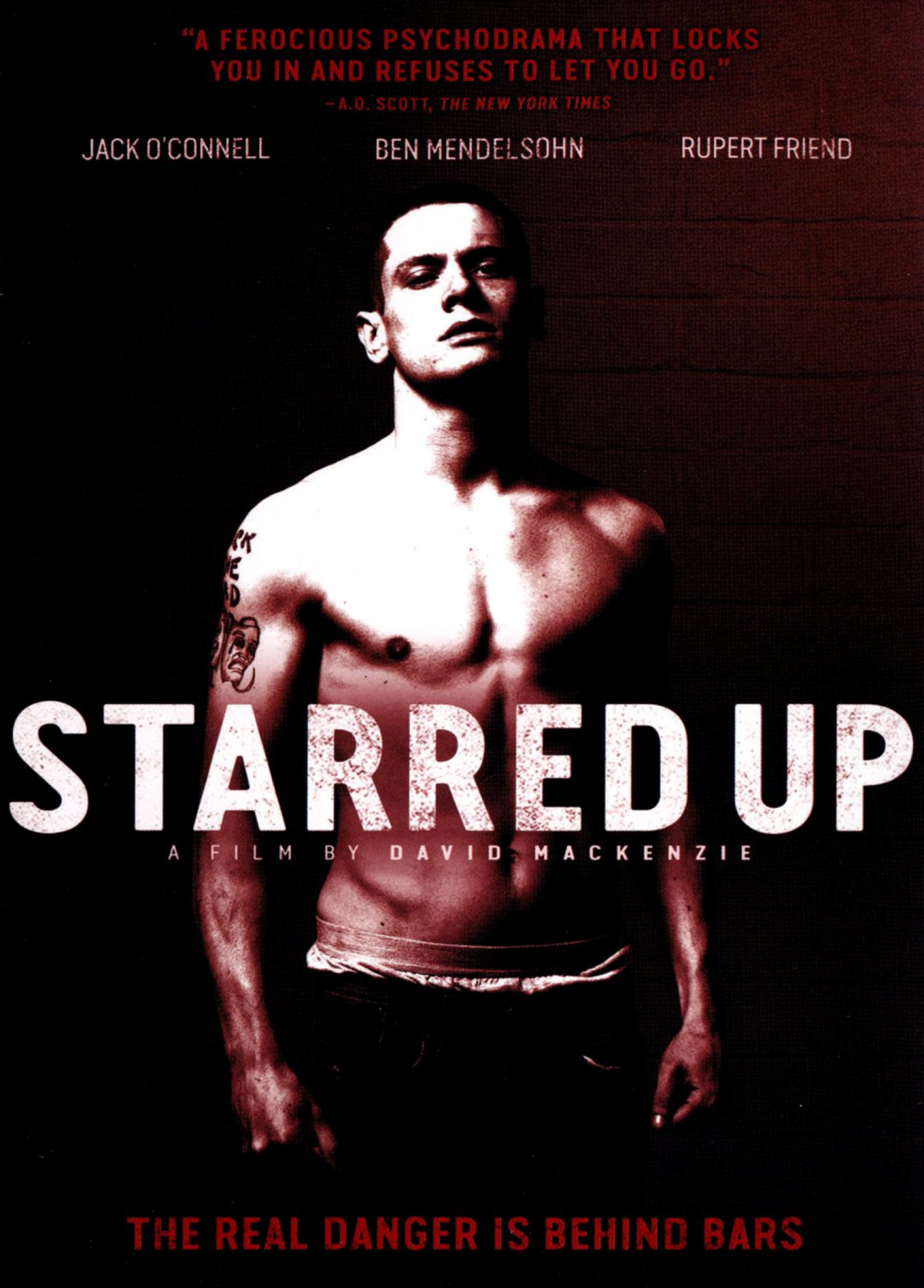 Starred Up [DVD] [2013]