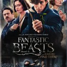 Fantastic Beasts and Where to Find Them [DVD] [2016]