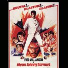 Mean Johnny Barrows [DVD] [1975]