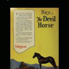 The Devil Horse [DVD] [1926]