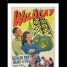 Wildcat [DVD] [1942]
