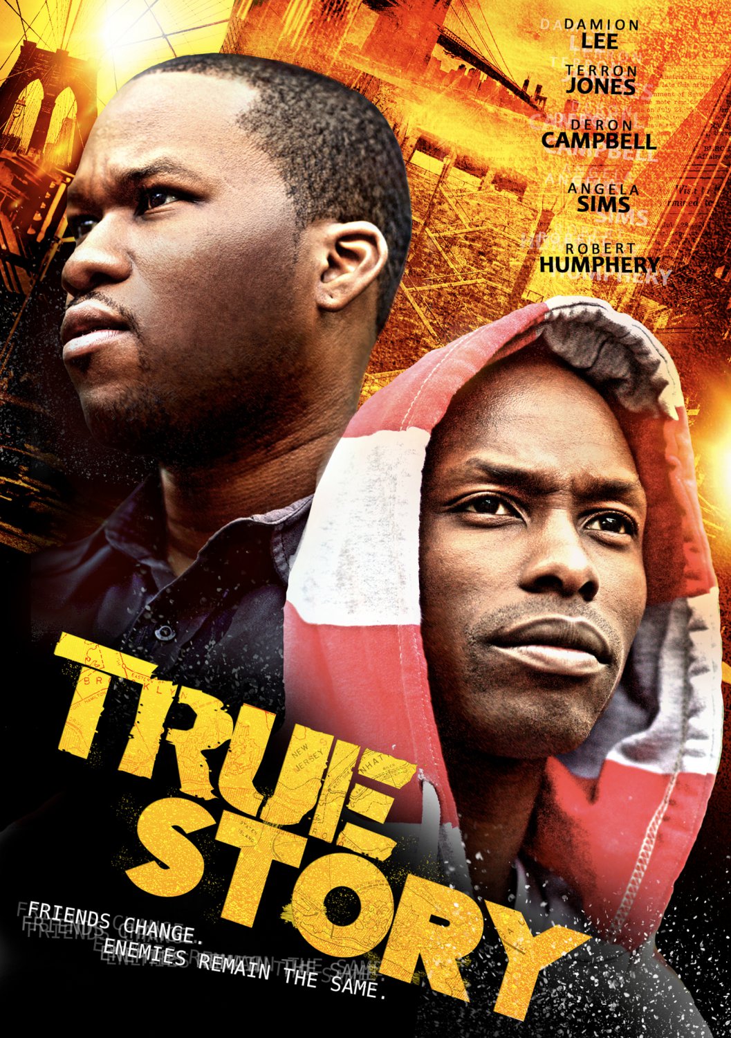 True Story [DVD] [2013]