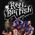 Live! In Concert! [DVD]