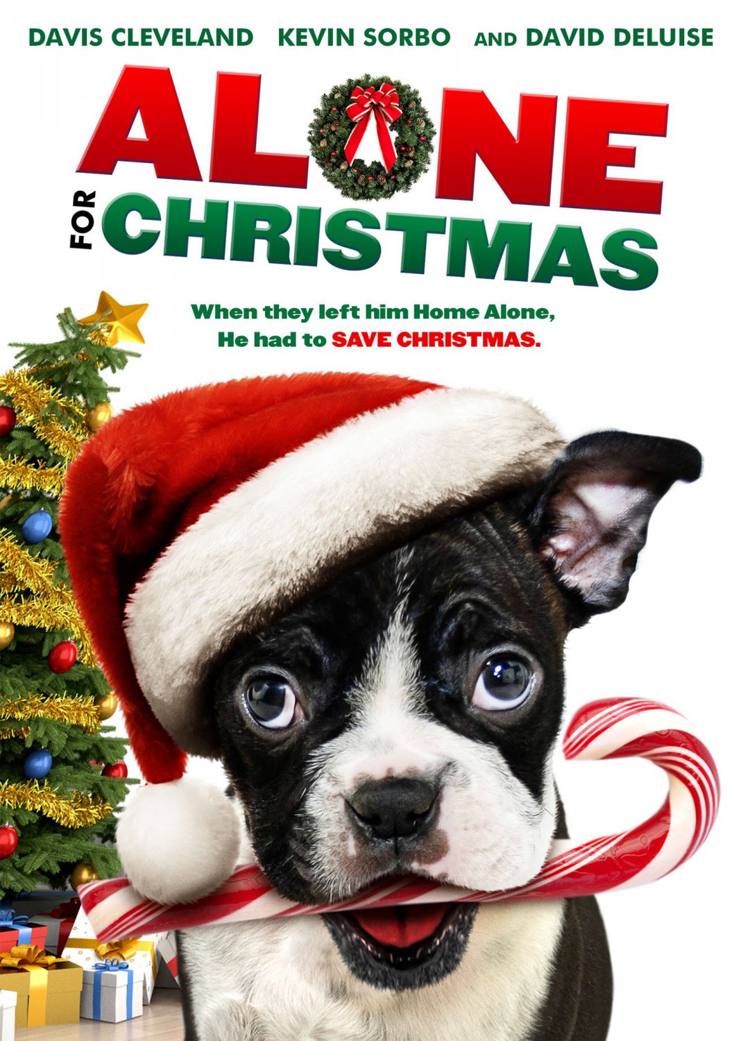 Alone for Christmas [DVD] [2013]