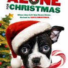 Alone for Christmas [DVD] [2013]