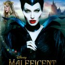 Maleficent [DVD] [2014]