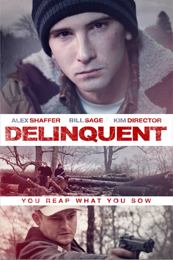 Delinquent [DVD] [2016]