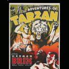The New Adventures of Tarzan [DVD] [1935]