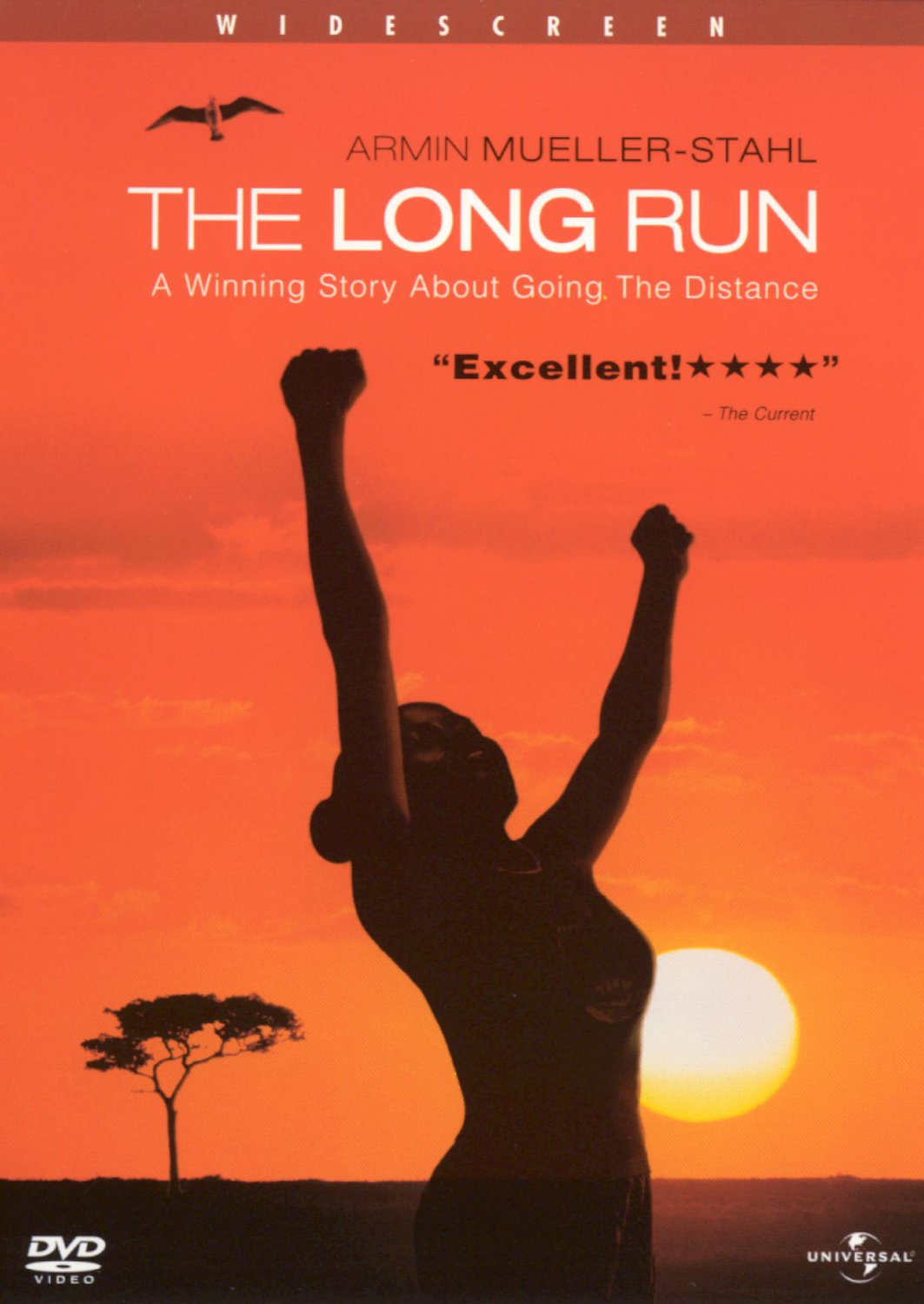 The Long Run [DVD] [2001]