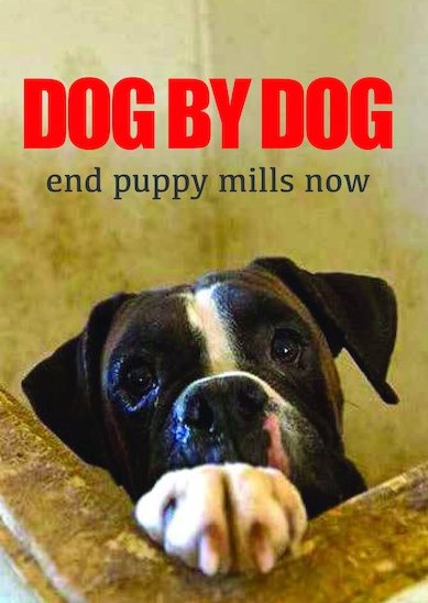 Dog by Dog [DVD] [2015]