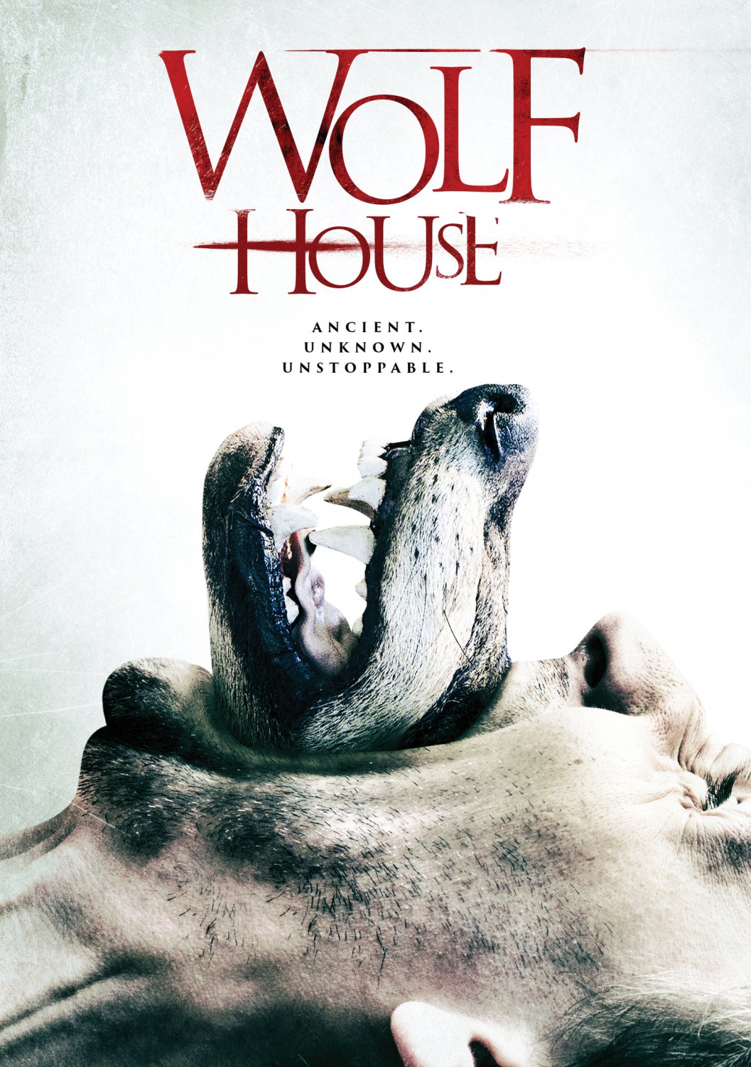 Wolf House [DVD] [2016]