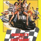 Smokey and the Hotwire Gang [DVD] [1979]