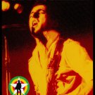Tribute Concert: Cast a Long Shadow [DVD]