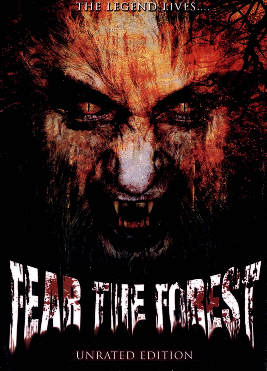 Fear the Forest [DVD] [2008]