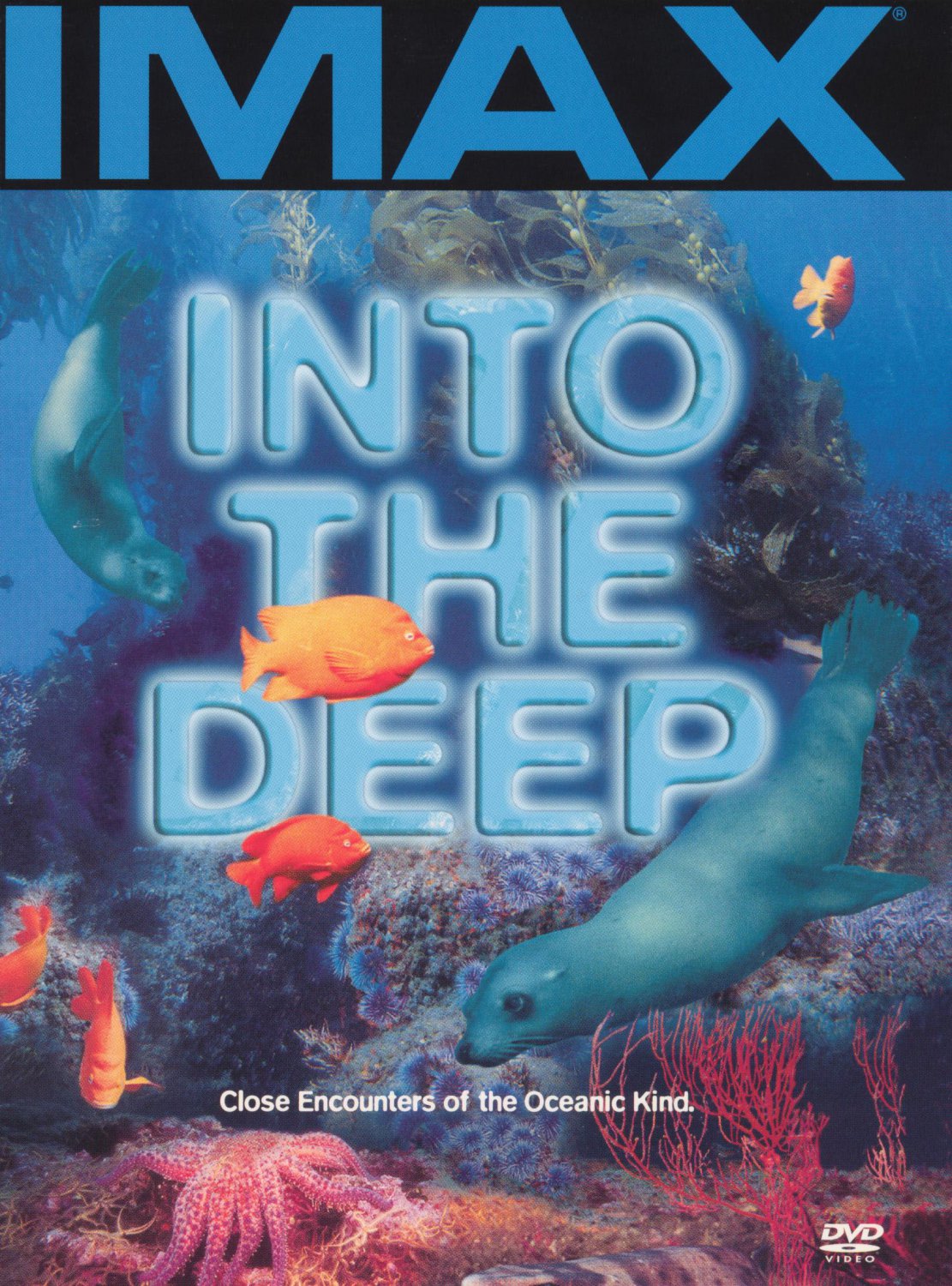 Into the Deep [DVD] [1991]