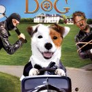 Millionaire Dog [DVD] [2014]