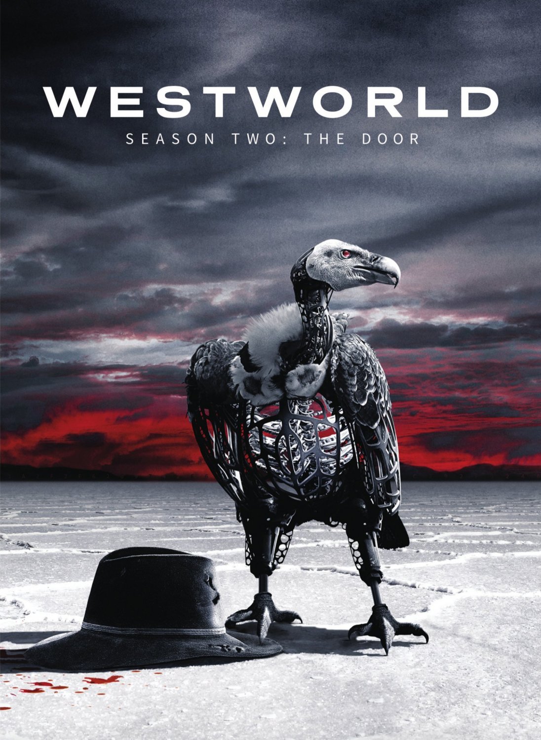 Westworld: The Complete Second Season [DVD]