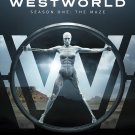 Westworld: The Complete First Season [DVD]