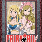 Fairy Tail: Part 11 [2 Discs] [Blu-ray/DVD]