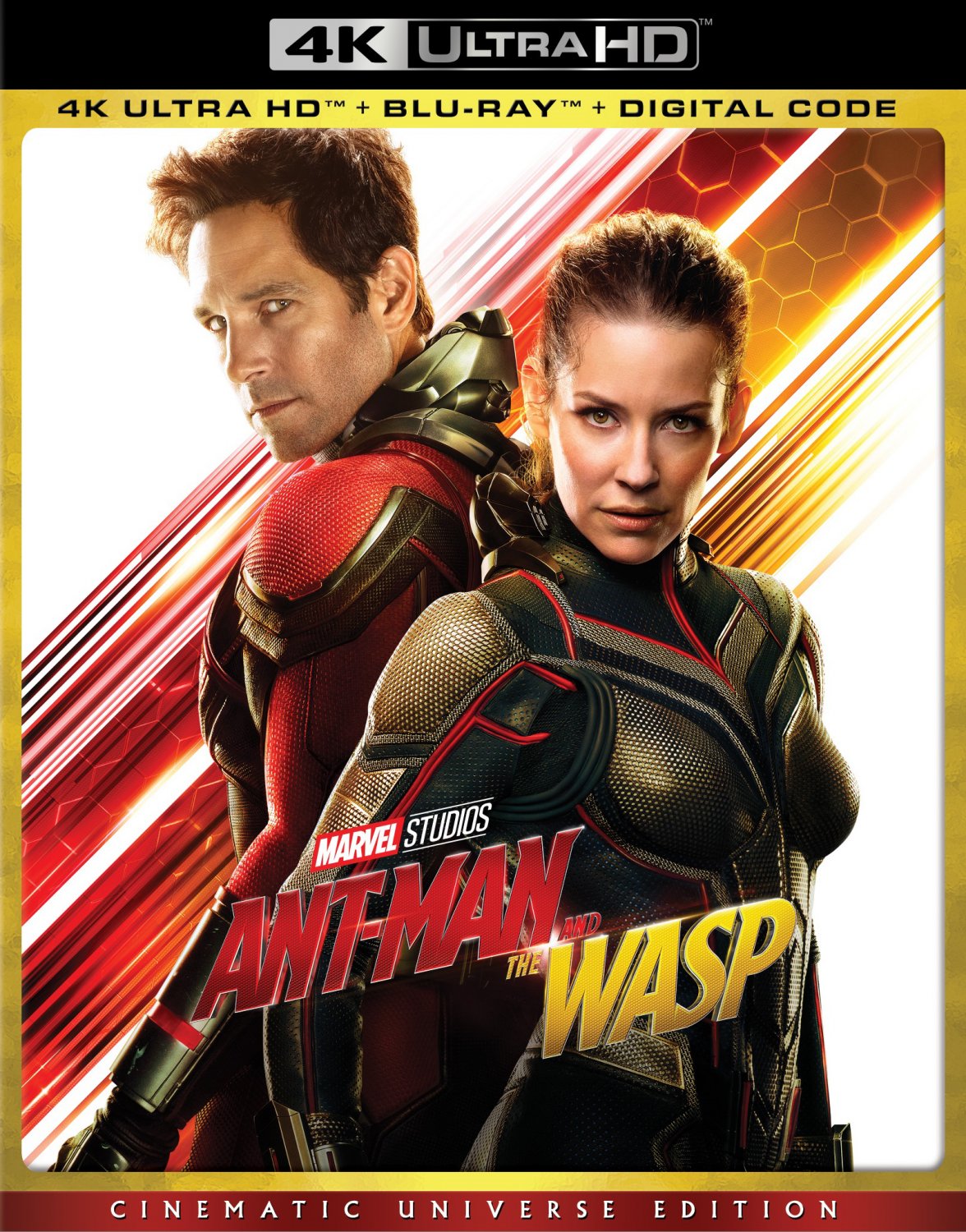 Ant-Man and the Wasp [Includes Digital Copy] [4K Ultra HD Blu-ray/Blu-ray] [2018]