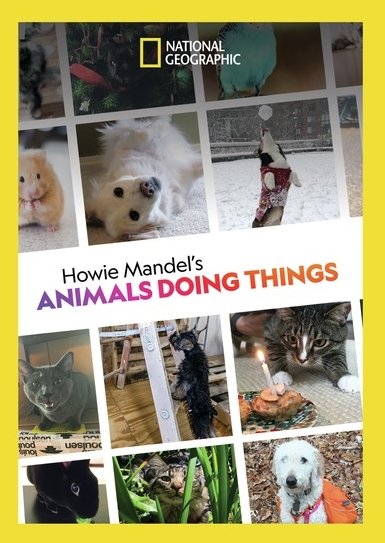 Howie Mandel's Animals Doing Things [DVD]