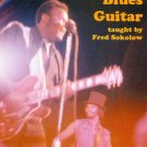 Fred Sokolow: Electric Blues Guitar [DVD] [2006]