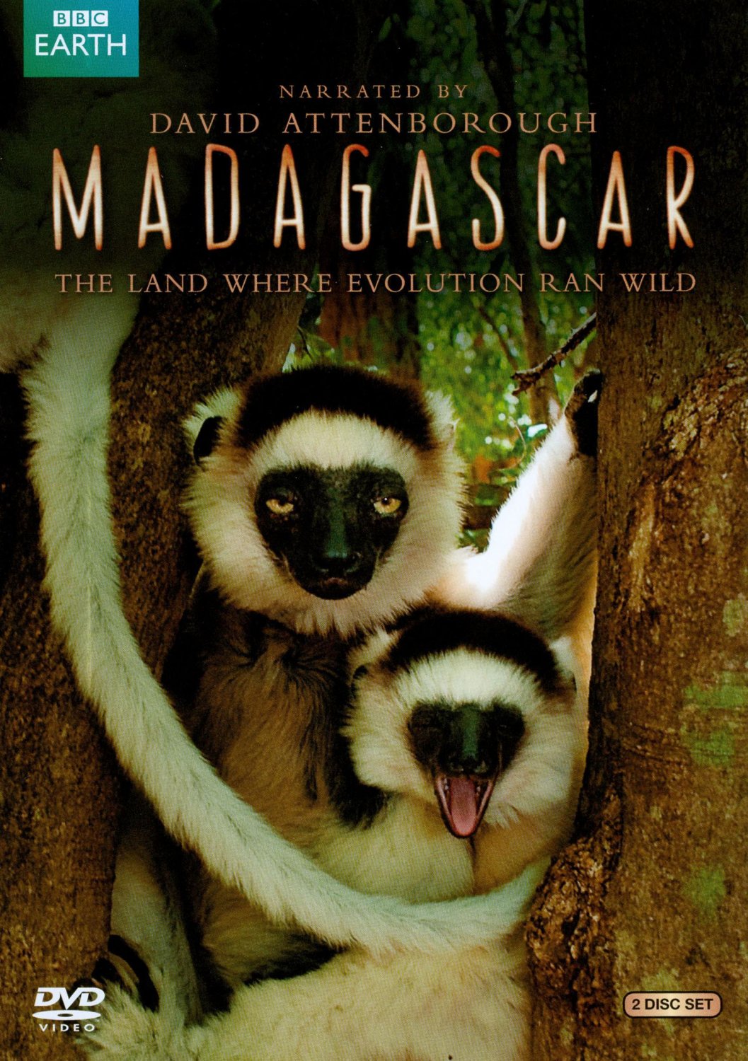 Madagascar [DVD]