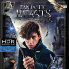 Fantastic Beasts and Where to Find Them [4K Ultra HD Blu-ray/Blu-ray] [2016]