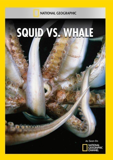 Squid vs. Whale [DVD]