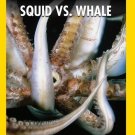 Squid vs. Whale [DVD]