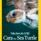Tales from the Wild: Cara the Sea Turtle [DVD]