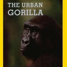 The Urban Gorilla [DVD]
