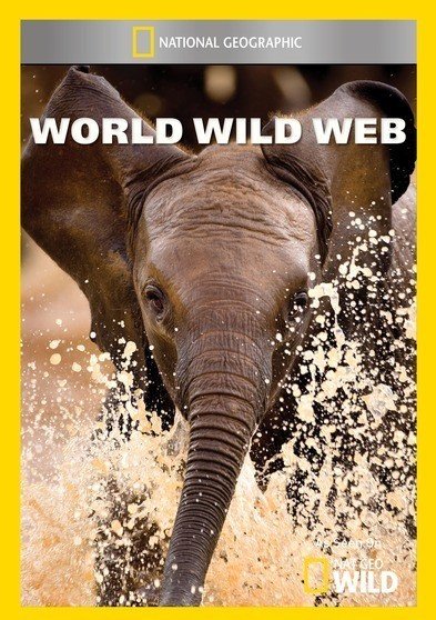 World Wild Web [DVD]