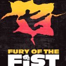 Fury of the Fist and the Golden Fleese [DVD] [2018]