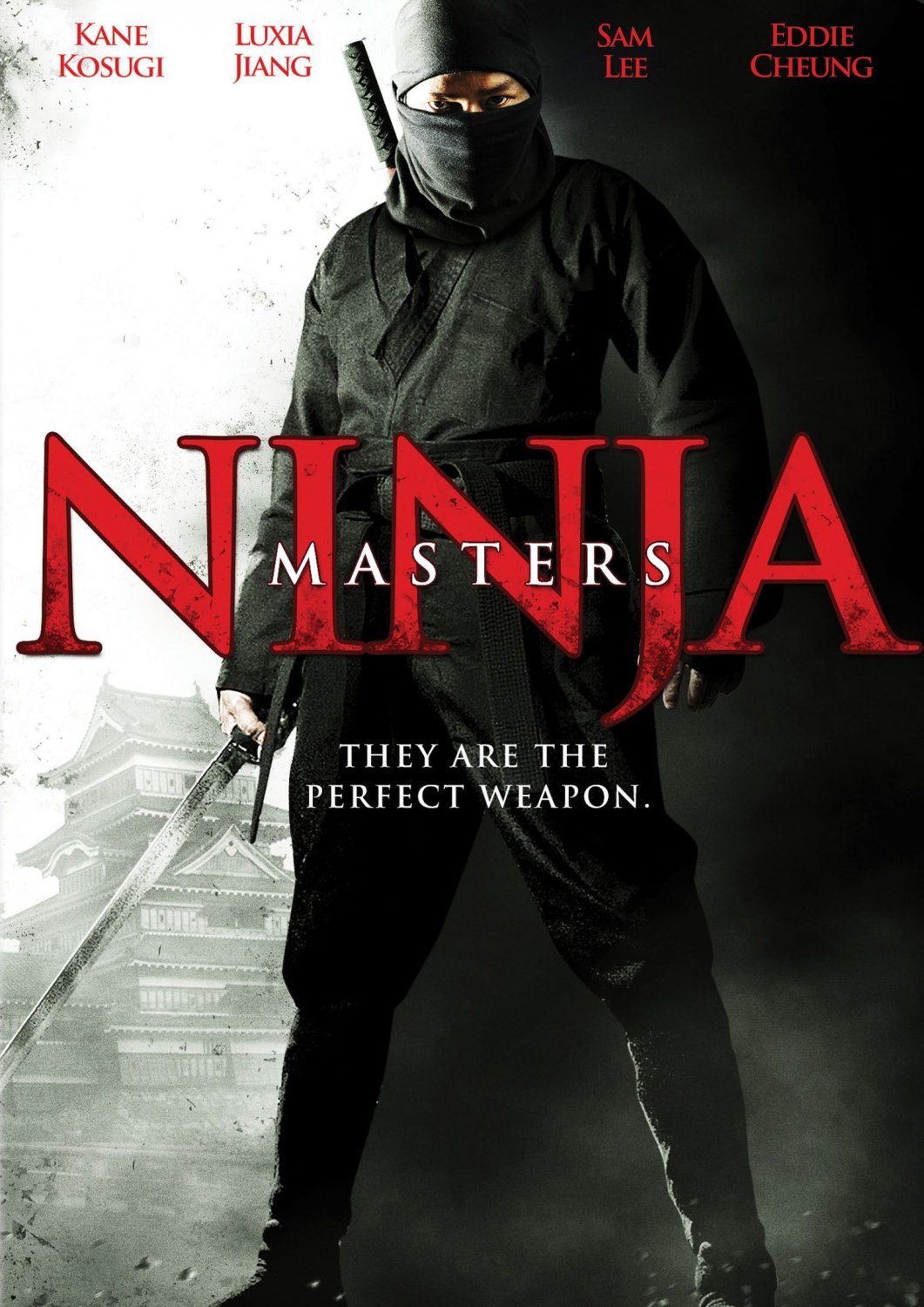 Ninja Masters [DVD] [2009]