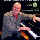 Learn to Play Blues Piano, Vol. 3: Boogie-Woogie and Slow Blues [DVD] [English] [2008]